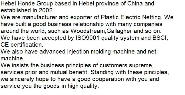 company profile company profile