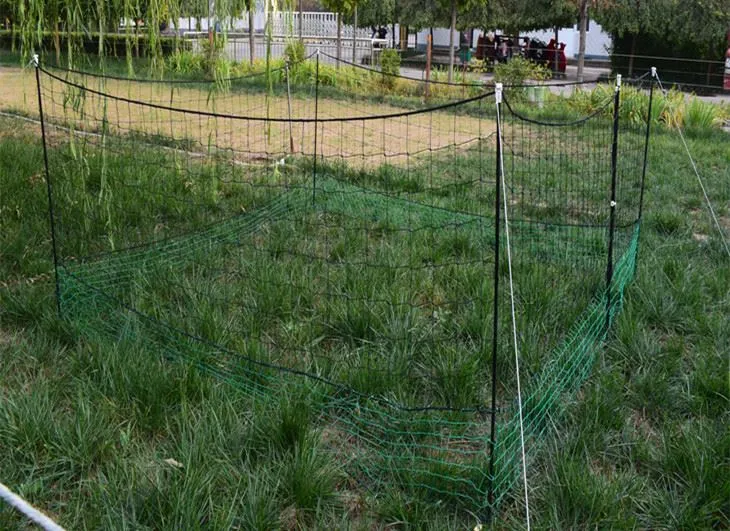 movable chicken fencing