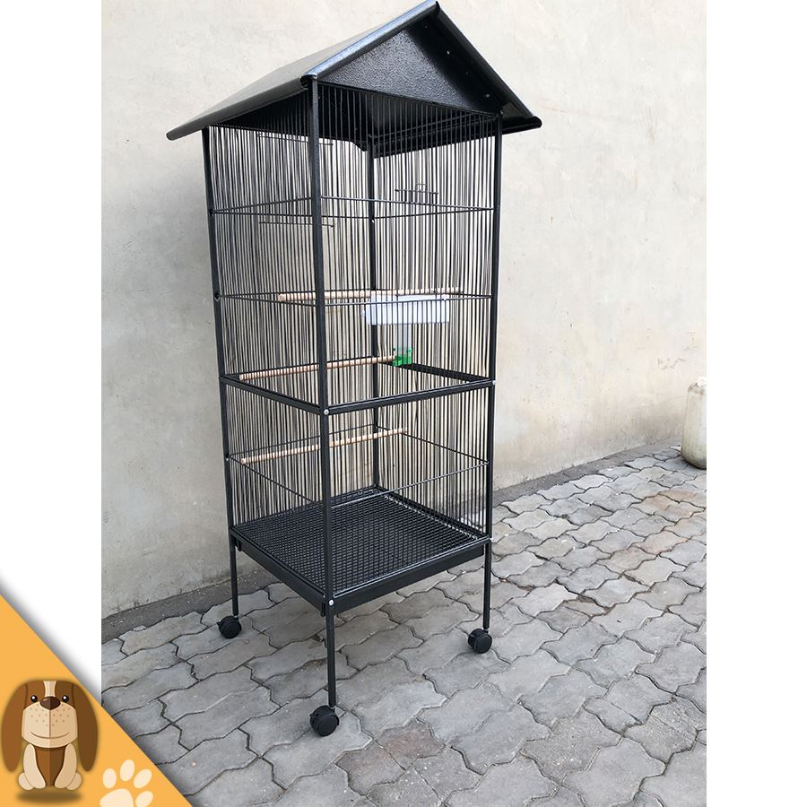 bird cage 4
