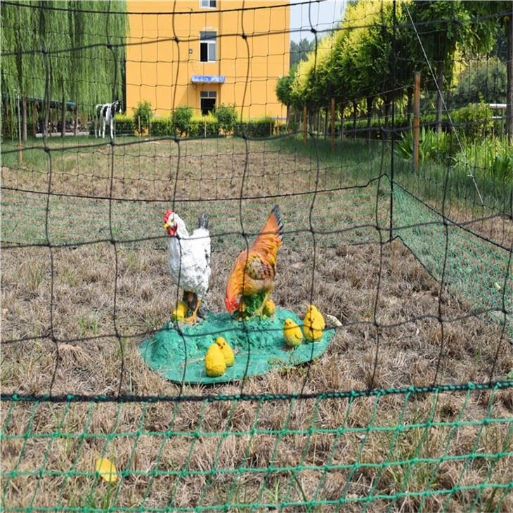 Fine Chicken Net With Color
