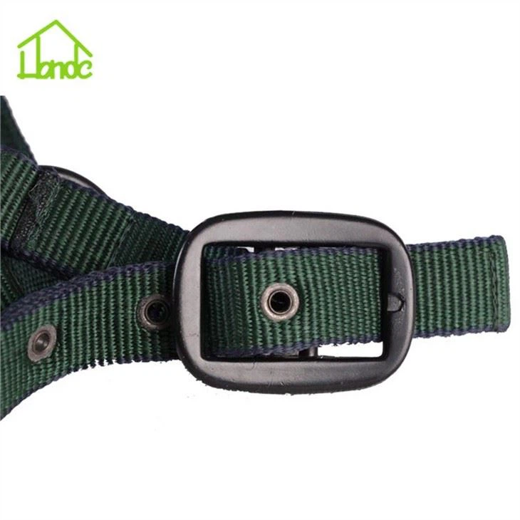 Custom Personalized Halters For Equine Horses